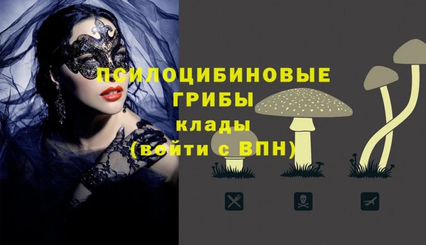 дживик Новодвинск
