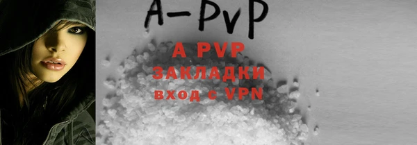 дживик Новодвинск