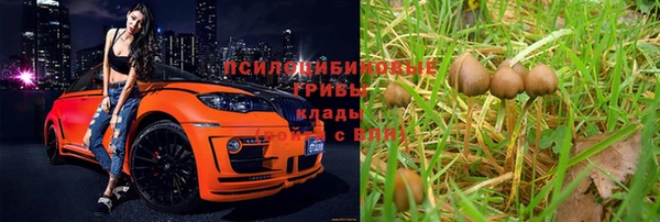 дживик Новодвинск